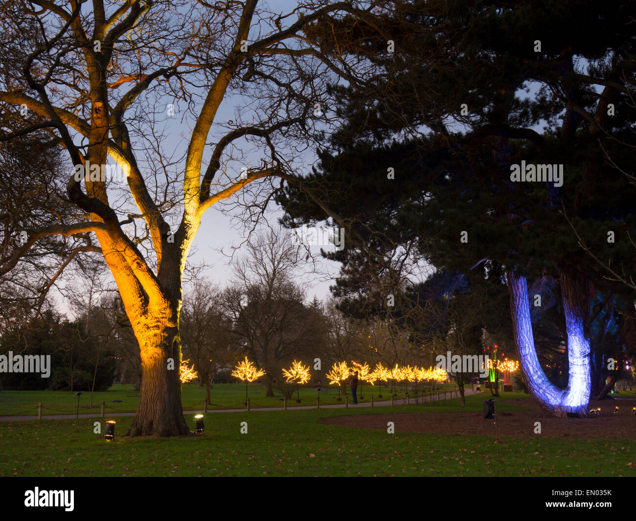 Europa, Großbritannien, England, London, Kew Gardens Weihnachtsbeleuchtung Stockfoto