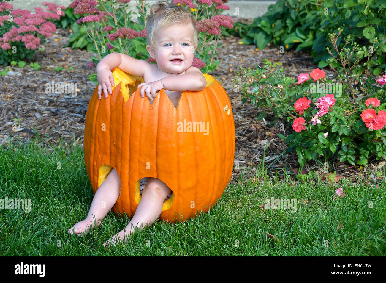 Glückliche kleine blonde Mädchen in eine geschnitzte, Halloween Kürbis. Stockfoto