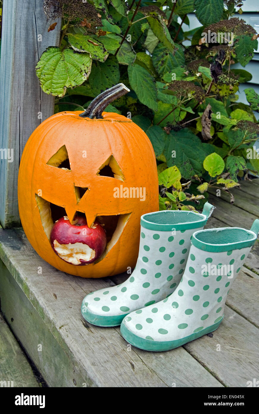Fauler Apfel in einen Halloween-Kürbis Mund und grün Polka Dot Stiefel auf hölzernen Schritt. Stockfoto