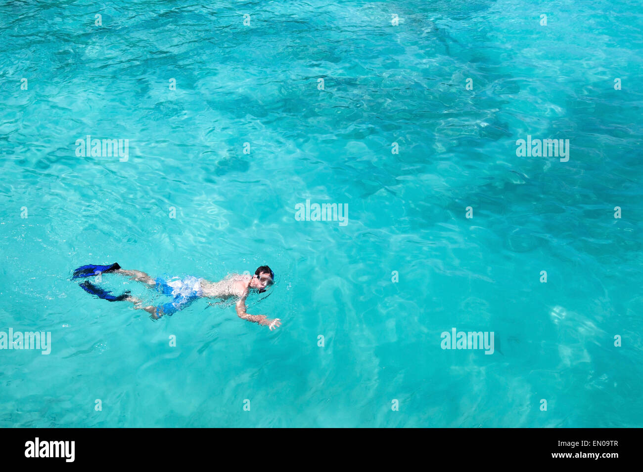 Schnorcheln, Schwimmen mit Flossen und Maske, Textfreiraum Menschenbild top Stockfoto
