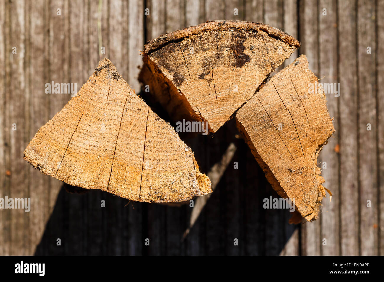 Nahaufnahme von drei Stücke von Scheitholz. Unscharfen Hintergrund, detaillierte Textur des Holzes. Stockfoto
