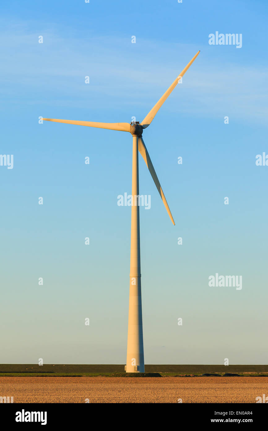 Windmühle hautnah bei Sonnenuntergang im Eemshaven, Niederlande. Nachhaltige Energie aus Windturbine. Stockfoto