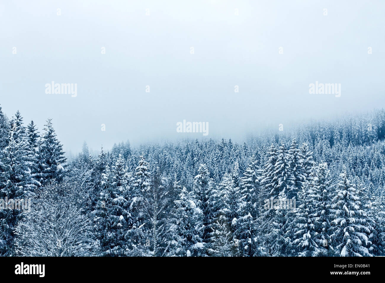 Winterlandschaft Stockfoto