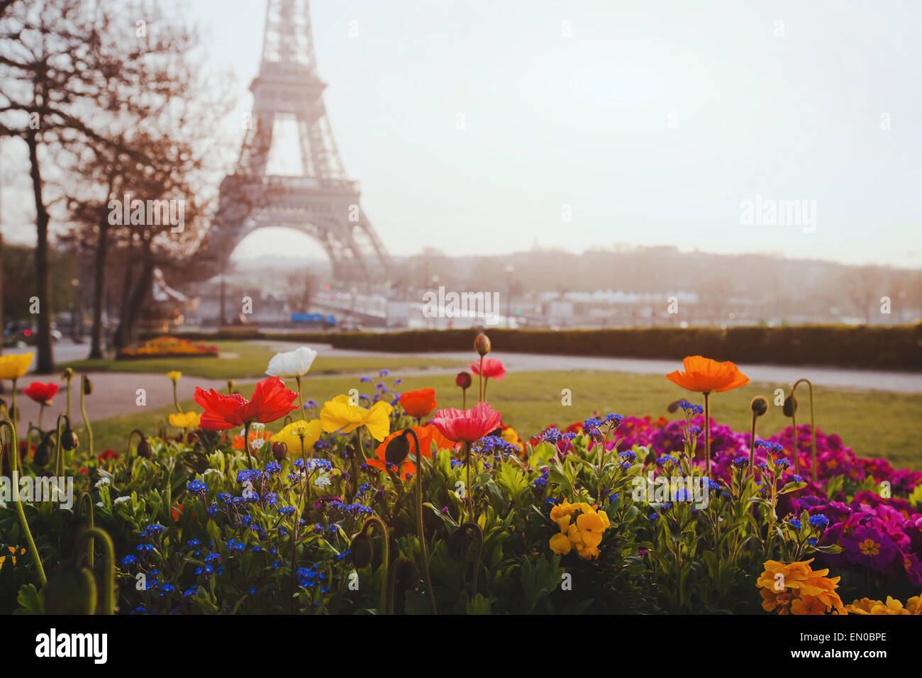 Paris, Blumen und Eiffel Turm Stockfoto