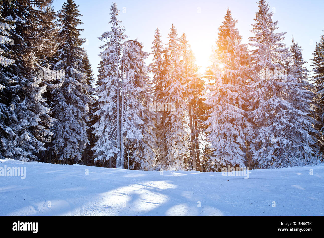 schöne Winter-Hintergrund Stockfoto