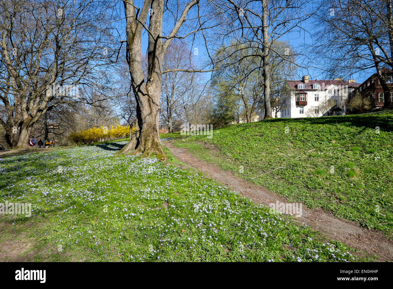 Vorfrühling in Norrköping, Schweden Stockfoto