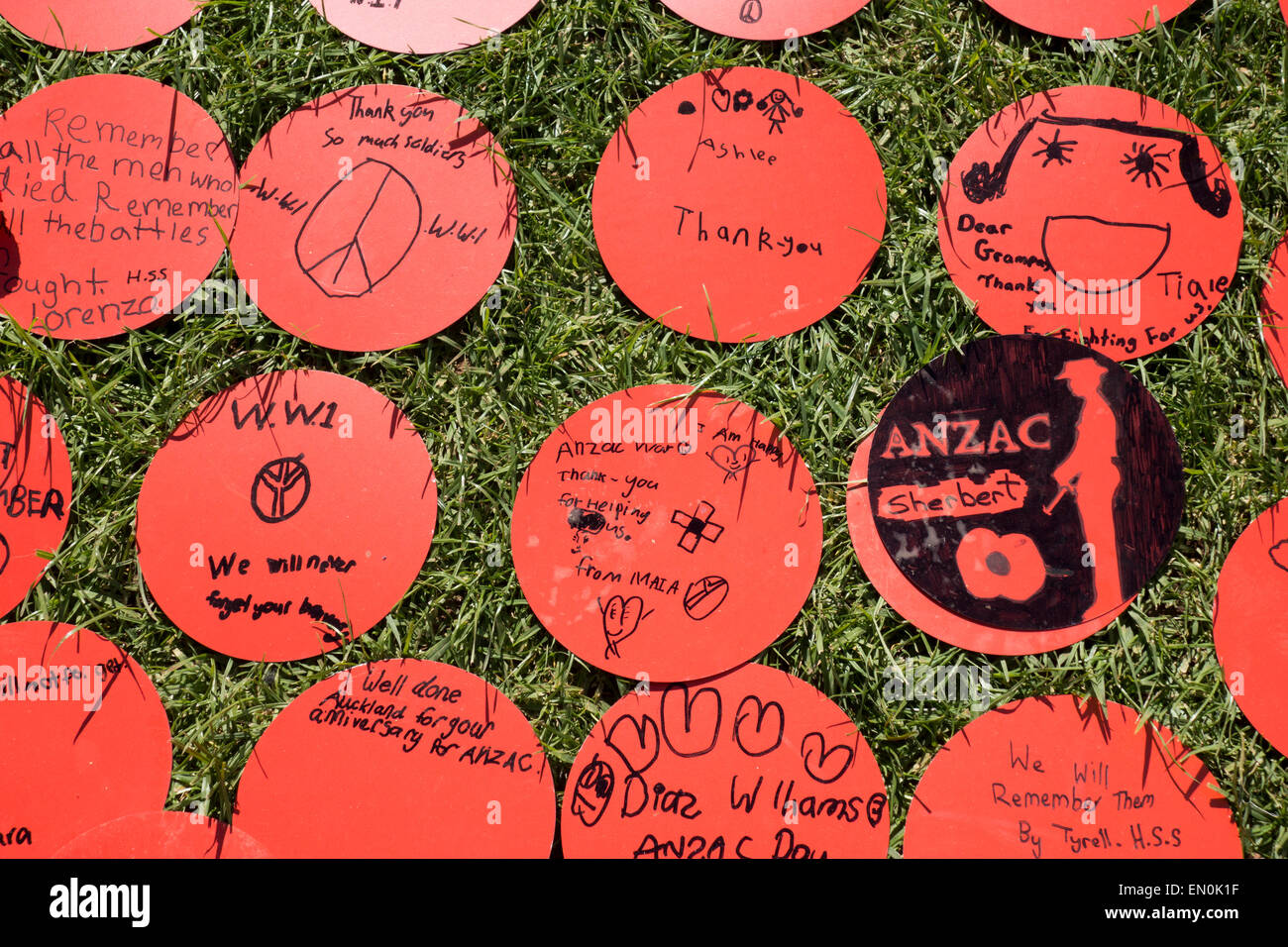 Auckland, Neuseeland. 25. April 2015. Riesenprojekt Mohn, Auckland Domain, Neuseeland. 100 Jahre seit der Invasion von Gallipoli. ANZAC Tag Stockfoto