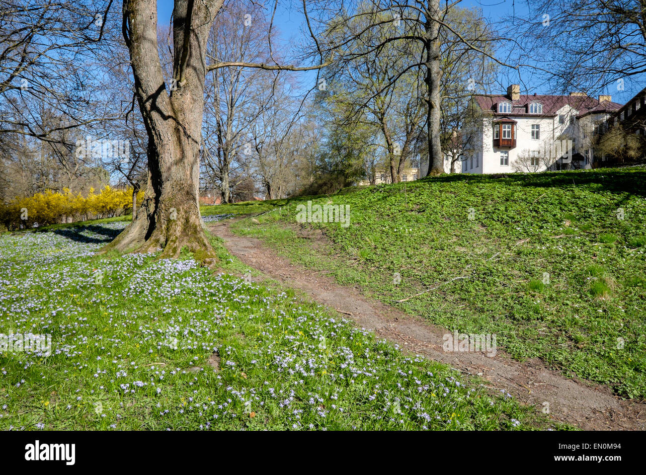 Vorfrühling in Norrköping, Schweden Stockfoto