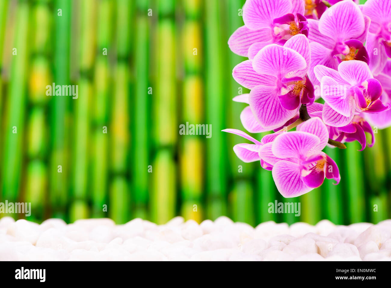 Japanischer ZEN-Garten mit Feng Shui und Orchidee Blume Stockfoto