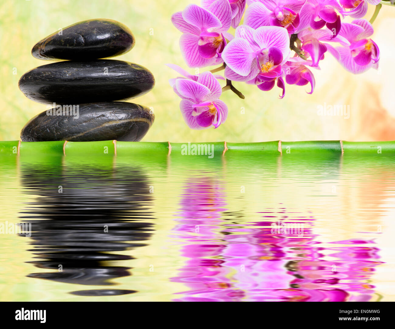 Japanischer Zen-Garten mit FengShui und Spiegelung im Wasser Stockfoto