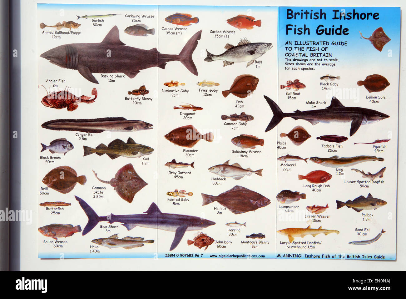 Britische Inshore Fisch führen Poster an Wand von Brixham Hafen Stockfoto