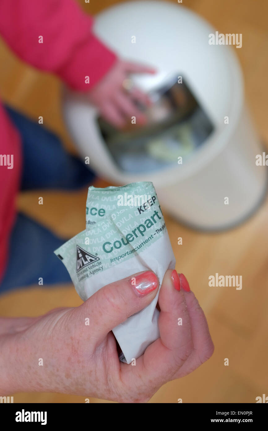 Eine Frau wirft das Gegenstück britischen Führerschein in den Papierkorb. Stockfoto