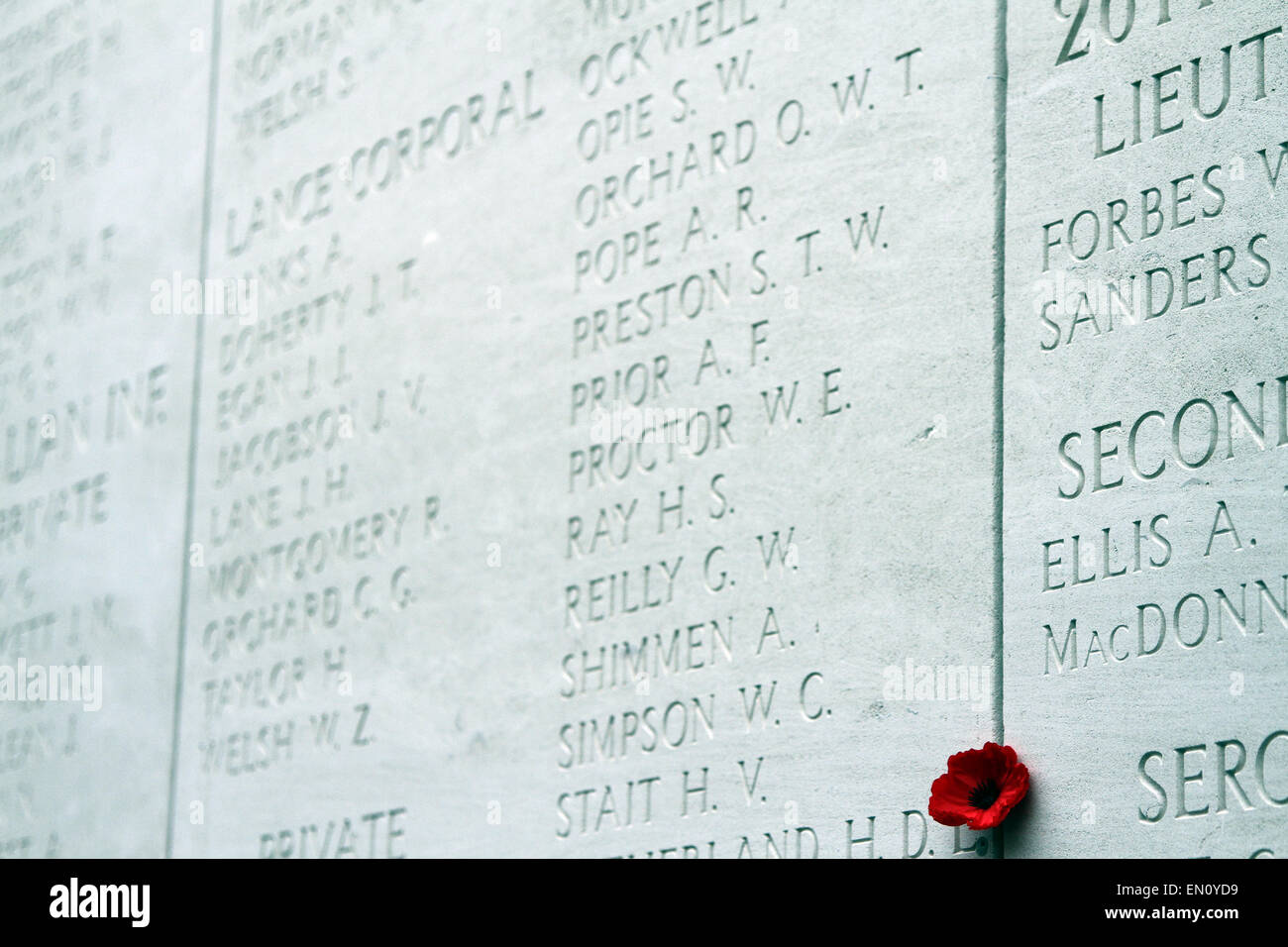 Eine Mohnblume wird in einen Spalt in das Menentor (Menenpoort) in Ypern, Belgien am 22. April 2015 versteckt. Stockfoto