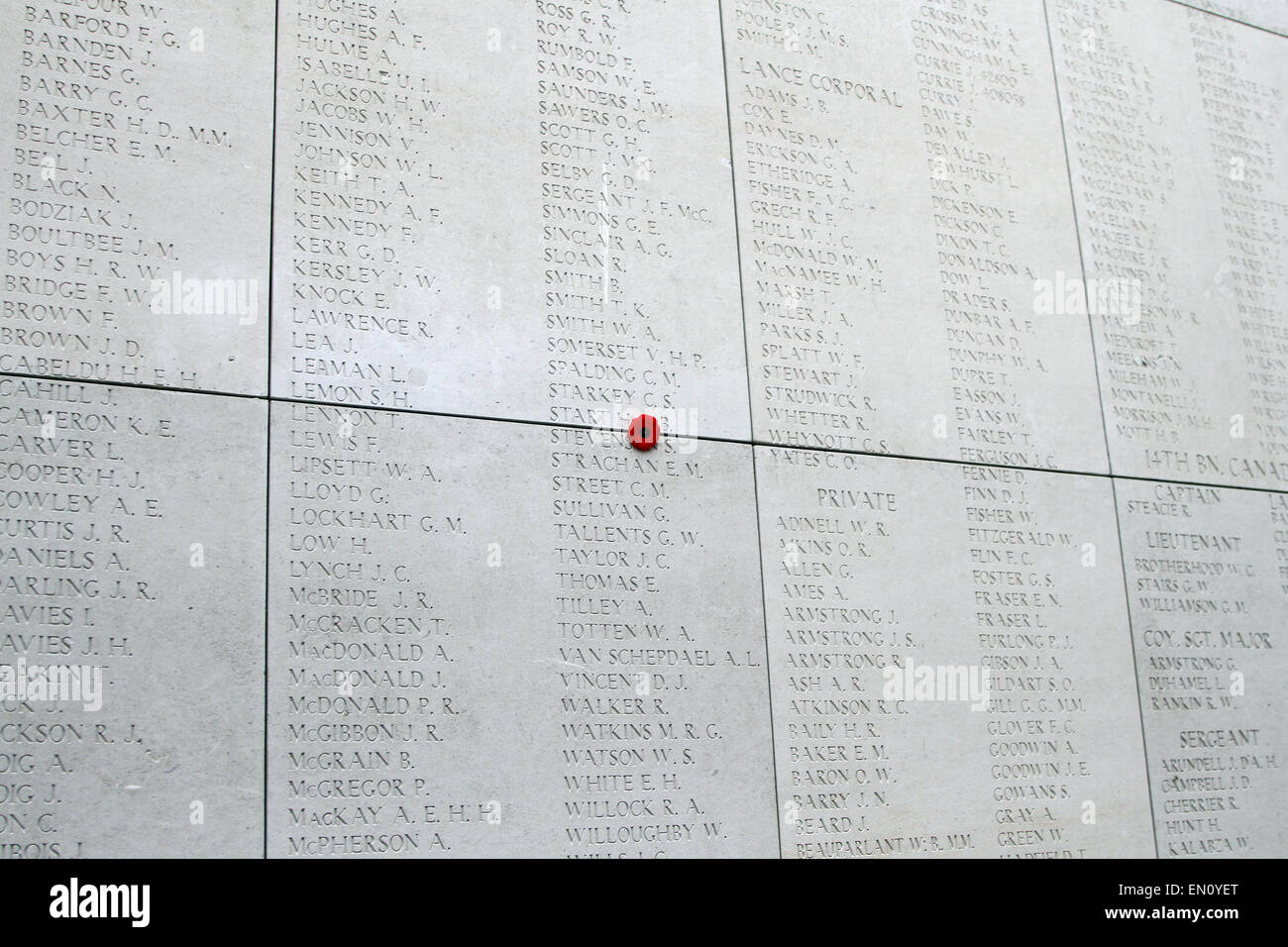 Eine Mohnblume wird in einen Spalt in das Menentor (Menenpoort) in Ypern, Belgien am 22. April 2015 versteckt. Stockfoto