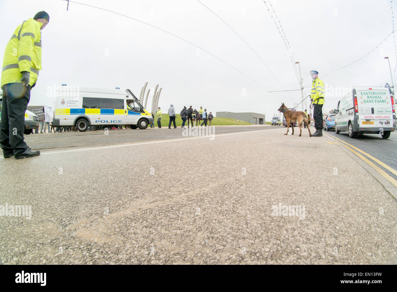 Blackpool UK, 25. April 2015. Nachrichten, dazu führen, dass Demonstranten aus der Anti-Facist Bewegung einige Transportprobleme entlang der Promenade in Blackpool. Die Polizei in großer Zahl dazu beitragen, um die Demonstranten zu enthalten und versuchen, der Störung uns unter sehr schwierigen Bedingungen Credit möglichst gering zu halten: Gary Telford/Alamy live-Nachrichten Stockfoto