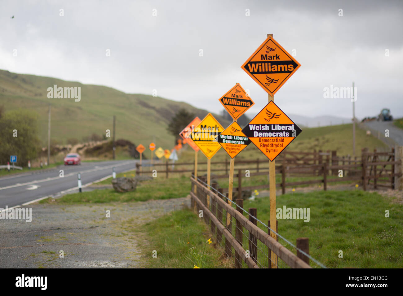 Ponterwyd, Ceredigion. 25. April 2015. Im ländlichen Mid Wales eine lange Reihe von Plakaten an der Grenze der A44 Fernstraße zur Unterstützung der Liberal-demokratische Kandidat (und sitzen MP) Credit: Alan Hale/Alamy Live News Stockfoto