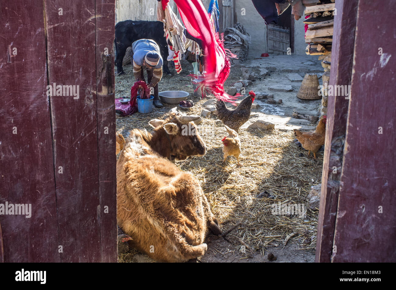 Street, Marpha Dorf, Annapurna Circuit Trek, Mustang, Nepal Stockfoto