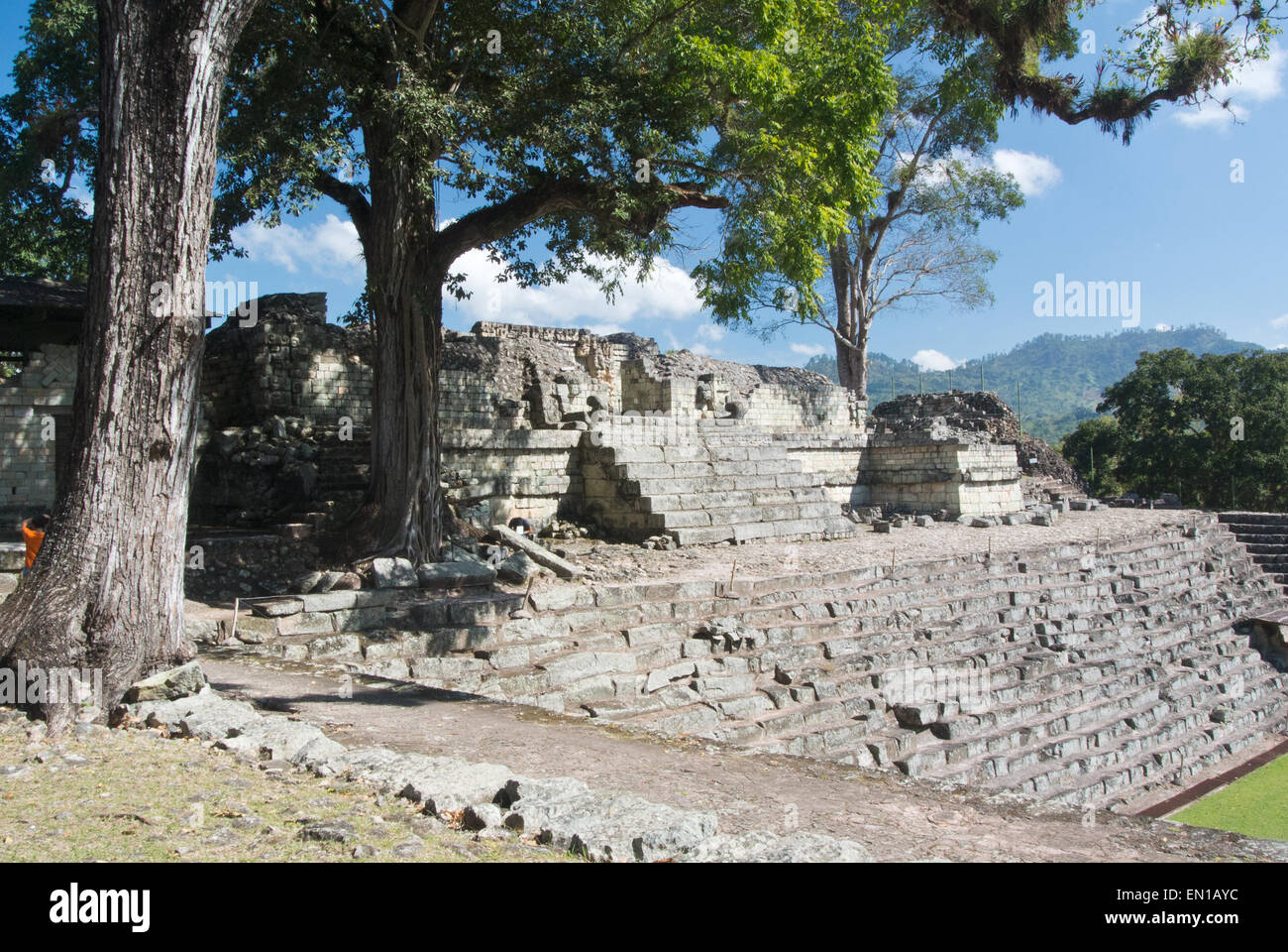 Antiken Maya-Akropolis, Copán, Honduras Stockfoto