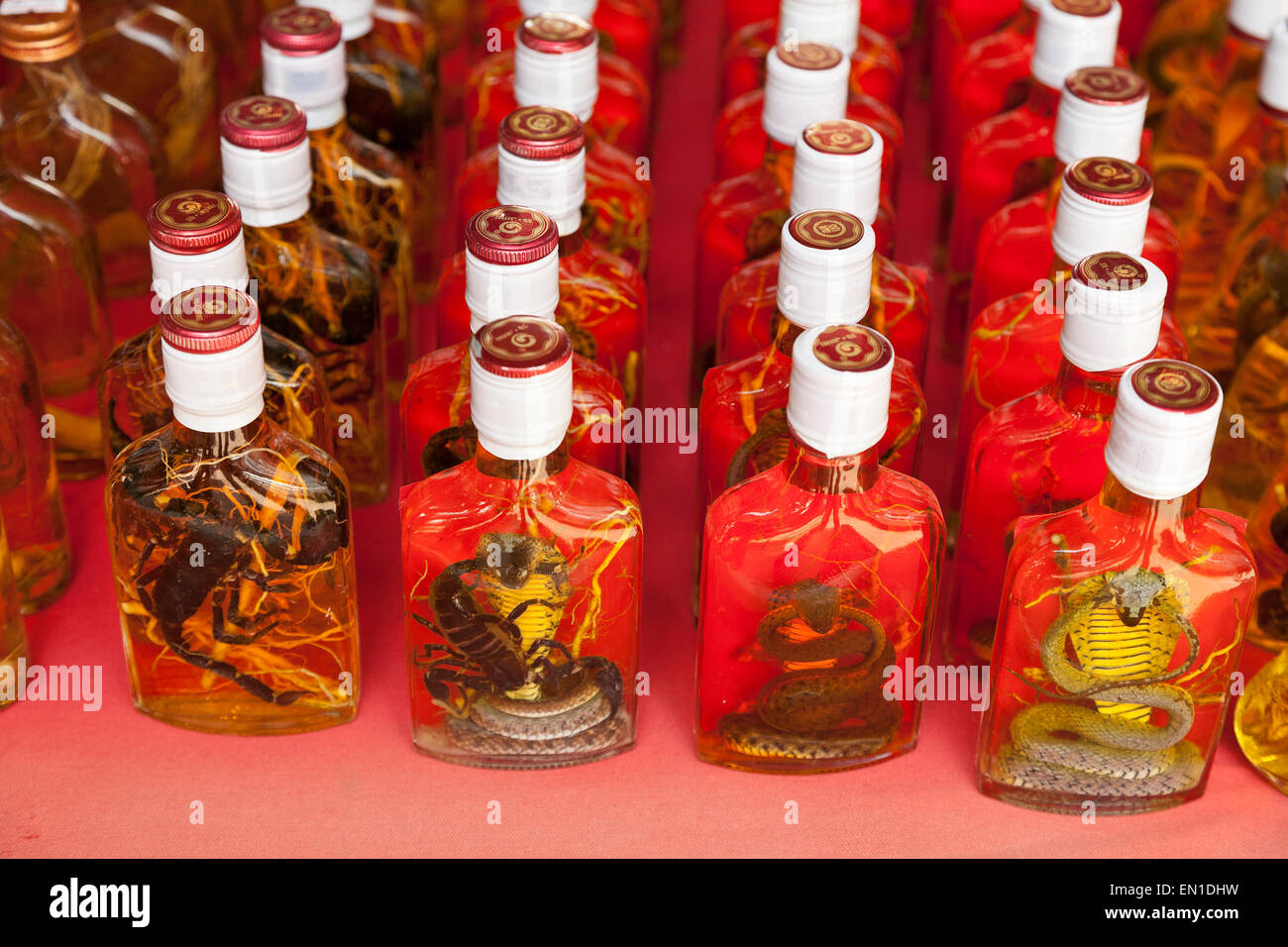 Insel Don Sao, Laos, das goldene Dreieck, Marktstand verkaufen exotische Tonikum Spirituosen enthalten, Skorpion, Cobra, Eidechse. Stockfoto