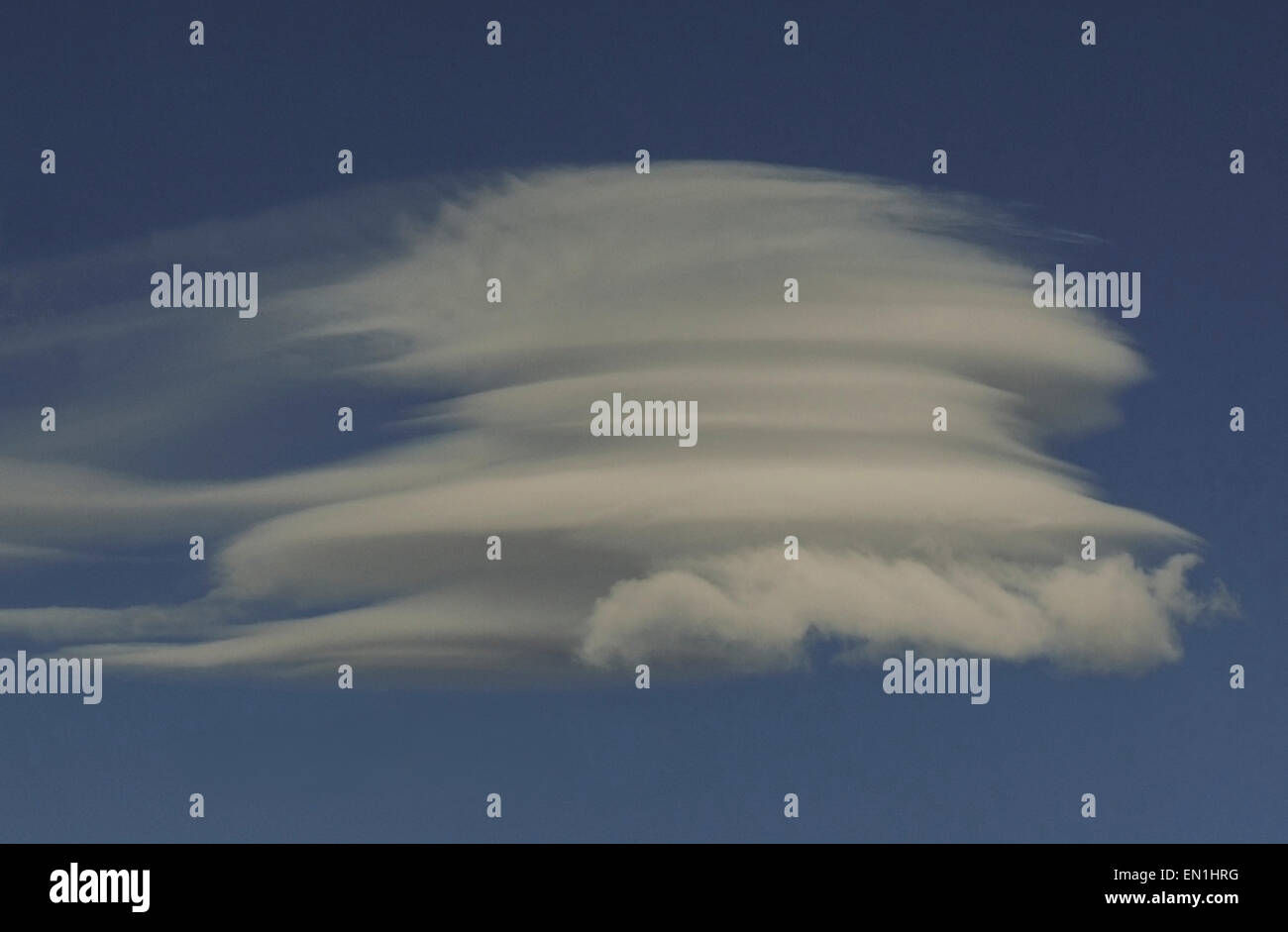 Lentikulardruck (Linse geformt) Wolken sind ein häufiges Phänomen am Himmel über die Alaska Range Mountains im Denali National Park Stockfoto