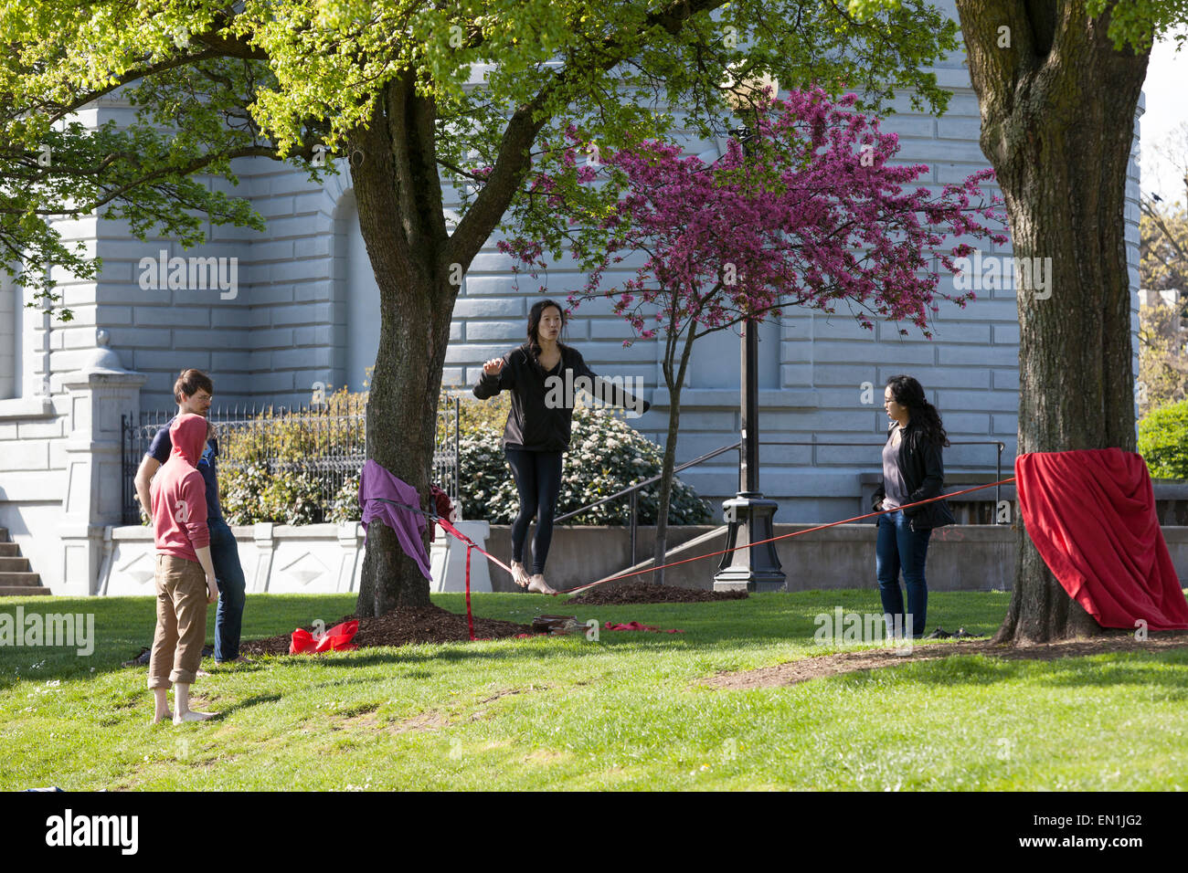 Gruppe von Freunden Slacklinen im Cal Anderson Park - Seattle, King County, Washington, USA Stockfoto