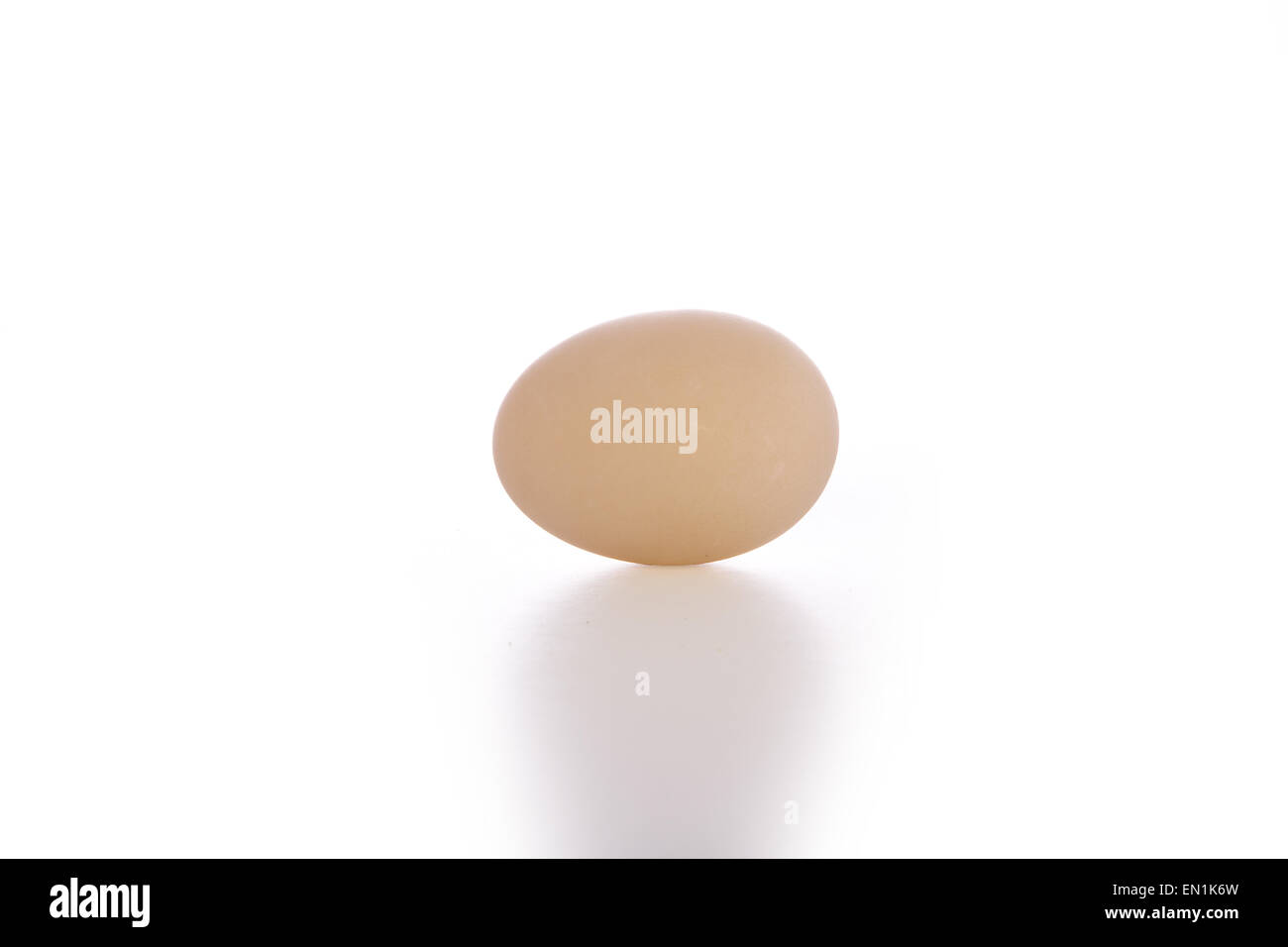 Einzelne Creme farbigen Ente Ei isolierten auf weißen Hintergrund Stockfoto