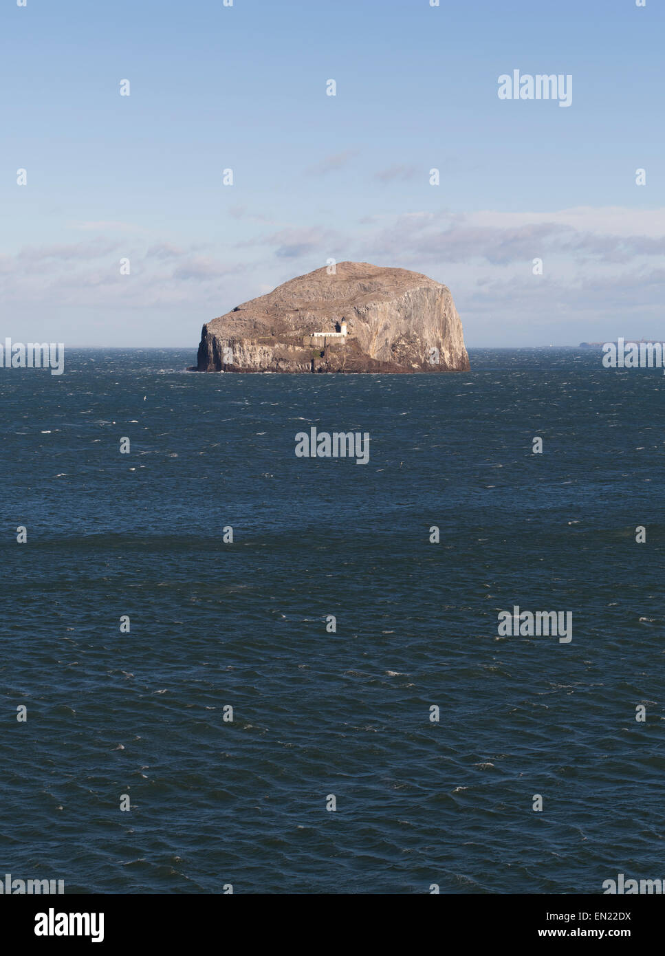 Der Bass Rock, einer Insel im äußeren Teil des Firth of Forth im Osten Schottlands.  Heimat von mehr als 150.000 Basstölpel Stockfoto