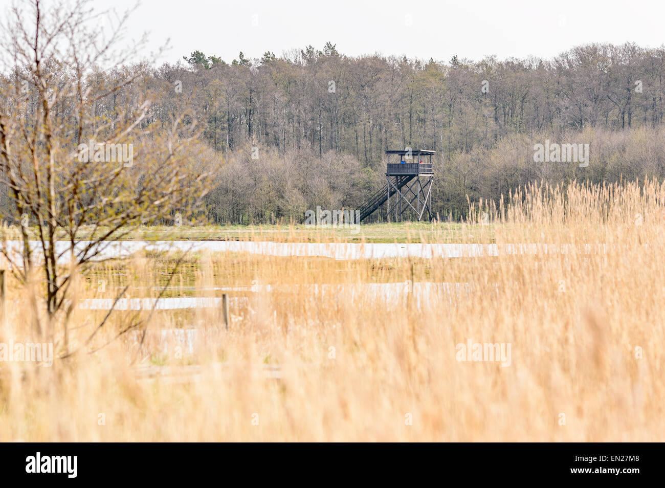 Bejershamn, Schweden - 25. April 2015: Vogel Aussichtstürme in Ferne mit Menschen in. Frühling bringt Zugvögel nach Schweden. Bejershamn ist ein geschütztes Naturschutzgebiet bekannt für seine Vogelwelt. Stockfoto