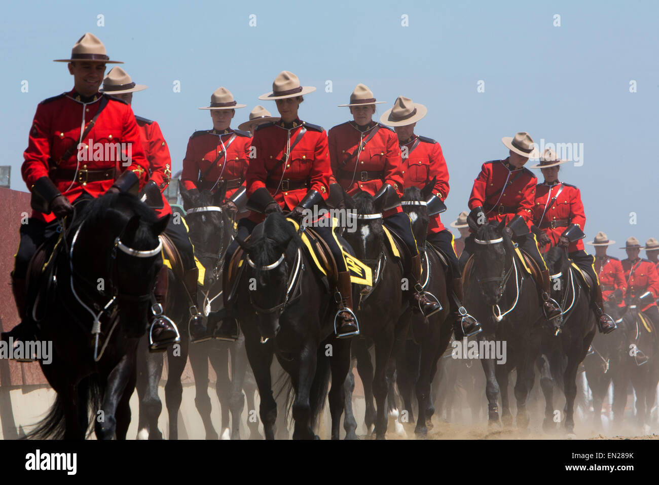 Königliche kanadische berittene Polizei Stockfoto