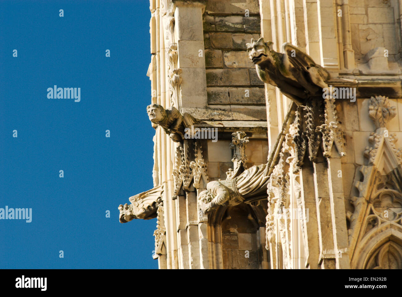 Die Gargoyles Yorkminster Stockfoto