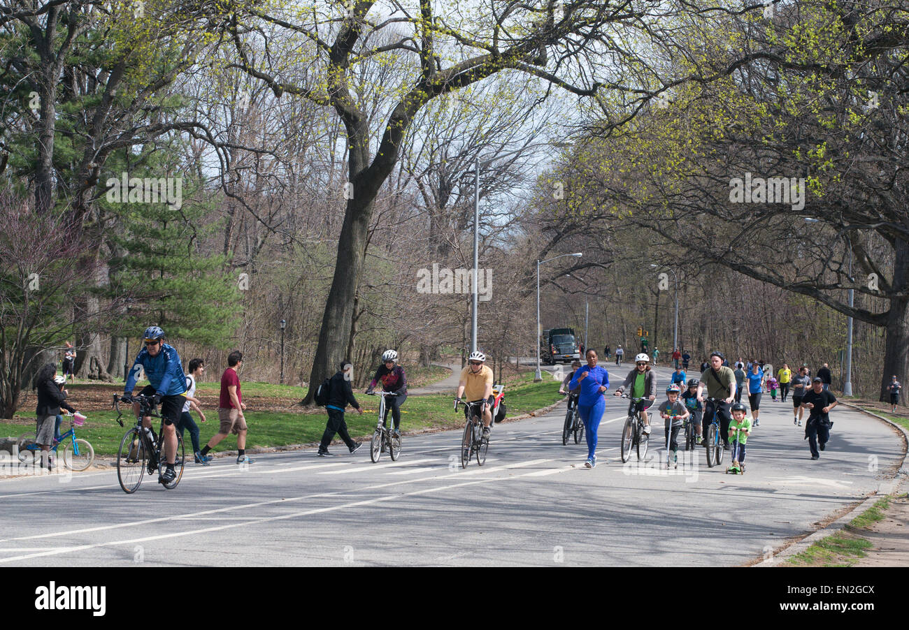 Radfahrer und Jogger im Prospect Park, Brooklyn, NYC, USA Stockfoto