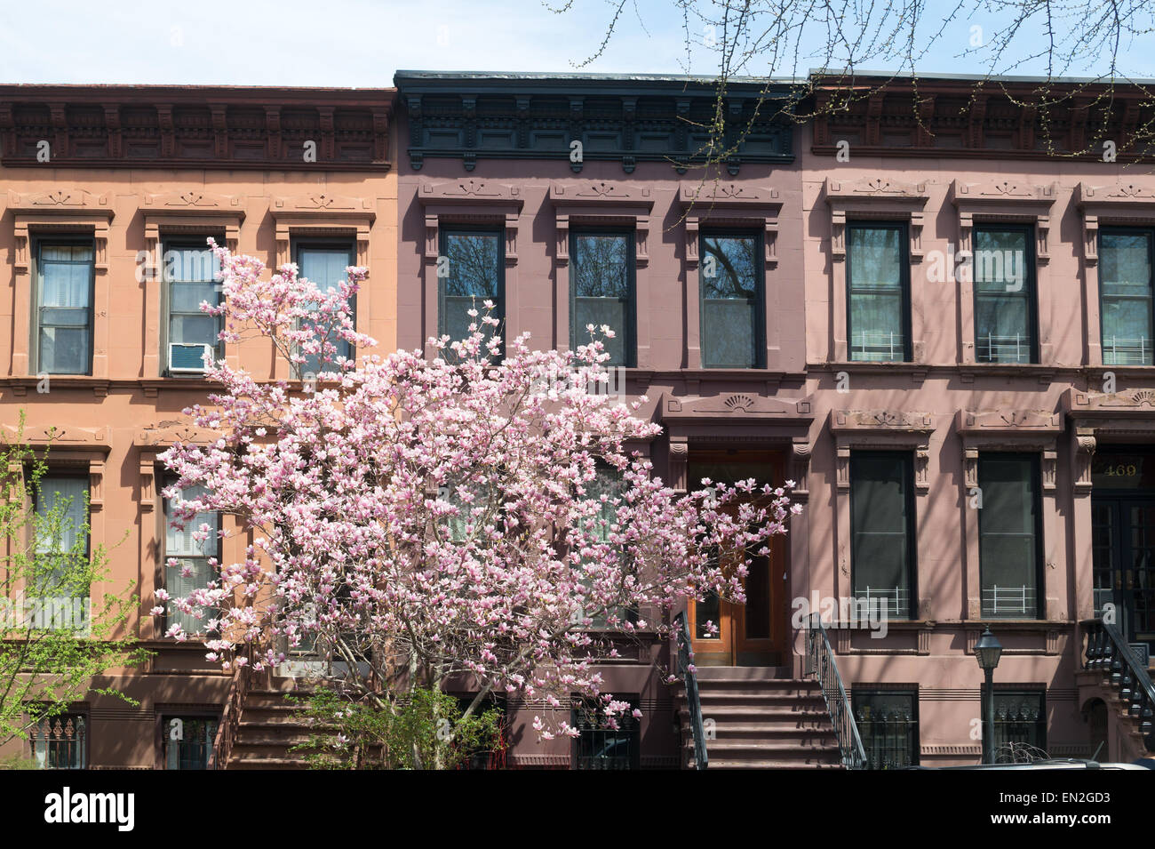 Terrasse von Brownstone Houses entlang der 8th St im Park Slope Viertel von Brooklyn, NYC, USA km Stockfoto