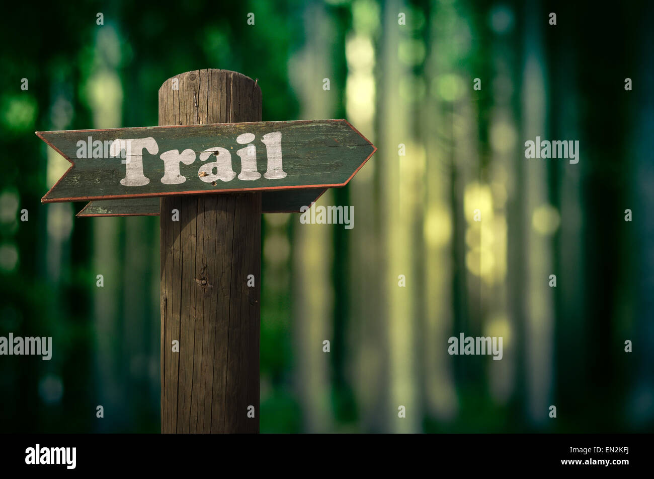 Hölzerne Trail Zeichen In einem Wald für Wanderer Stockfoto