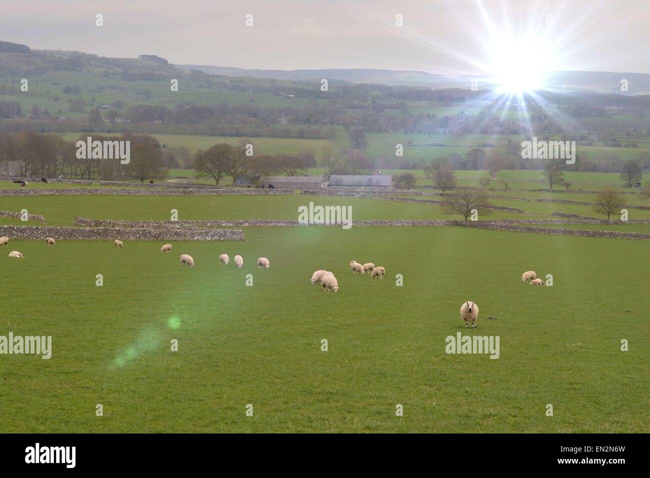 Sonne bis zum Horizont Stockfoto