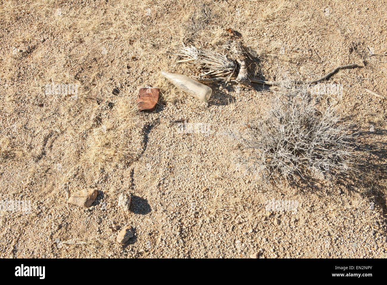 Flasche noch Leben in der Mojave Wüste National Park in Kalifornien Stockfoto