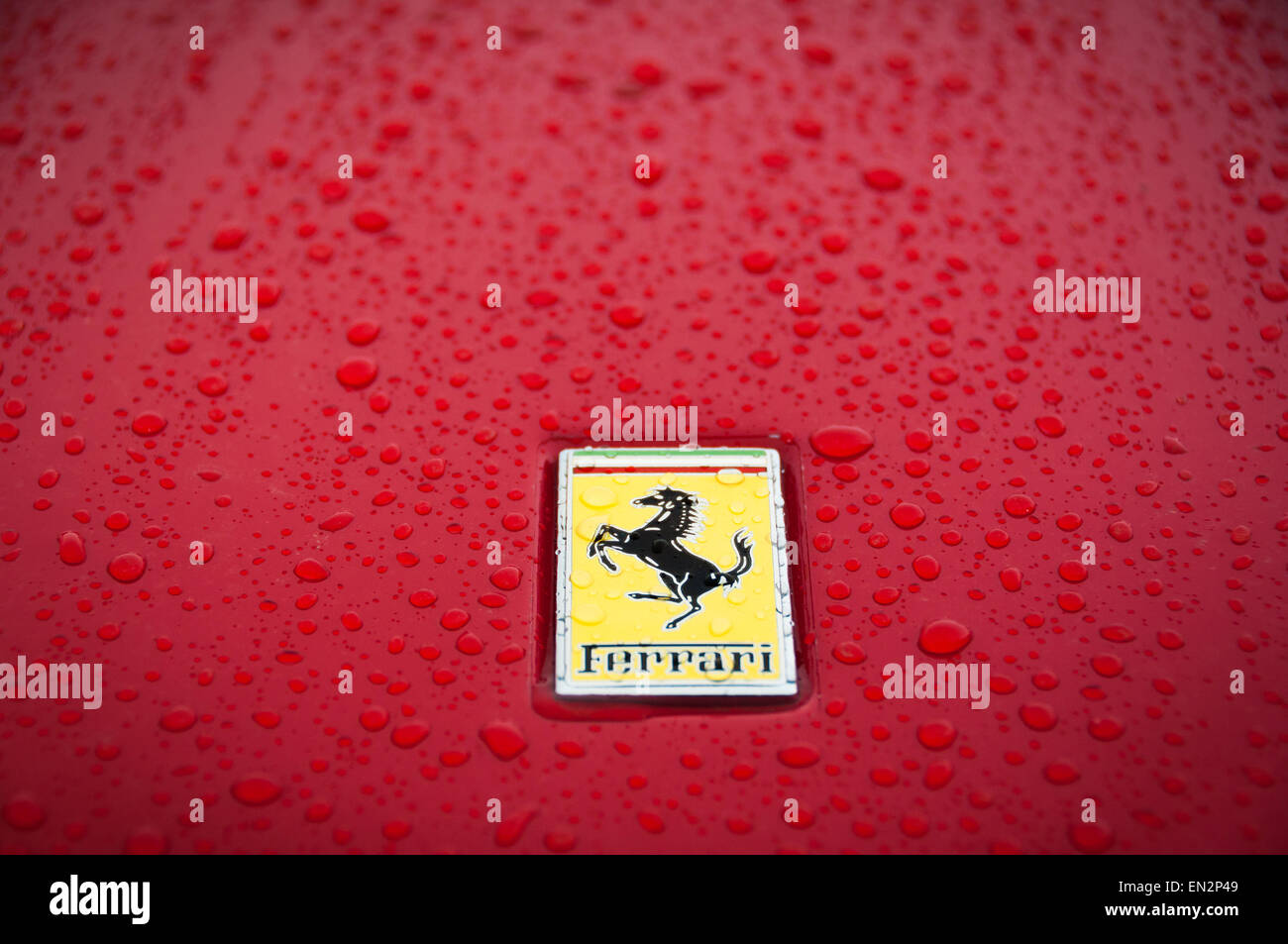 Roter Ferrari Luxus Autos Abzeichen auf Fronthaube Stockfoto