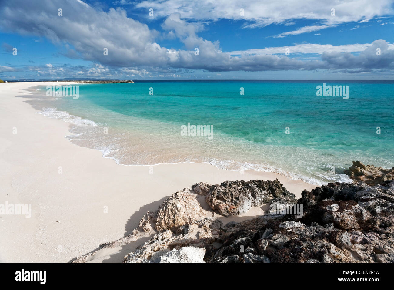Hund Insel Anguilla Stockfoto