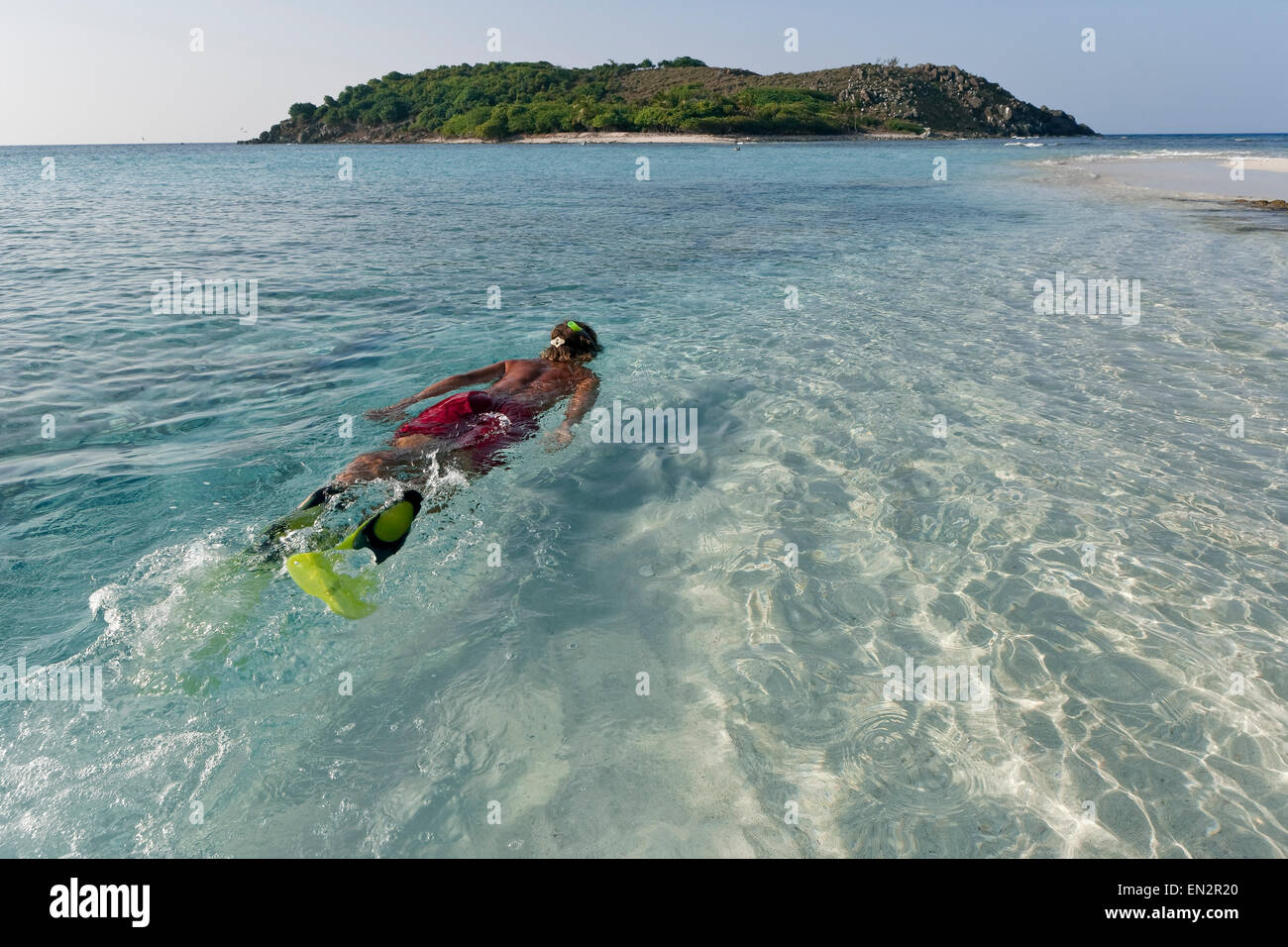 Schnorcheln in Sandy Spit, BVI (British Virgin Islands), Karibik Stockfoto