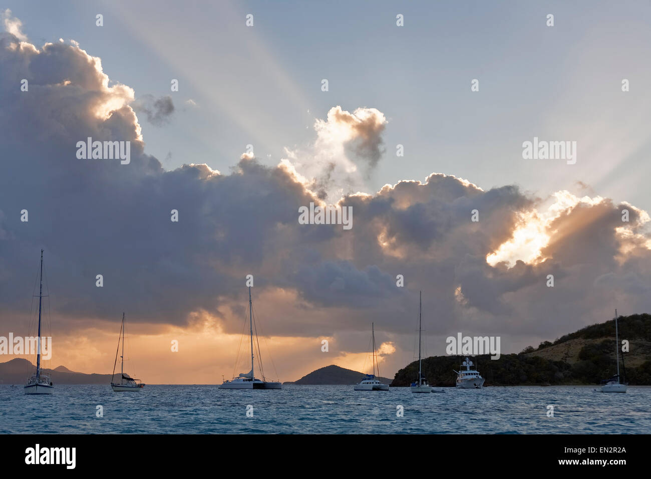 Tobago Cays Marine Park, Grenadinen Stockfoto