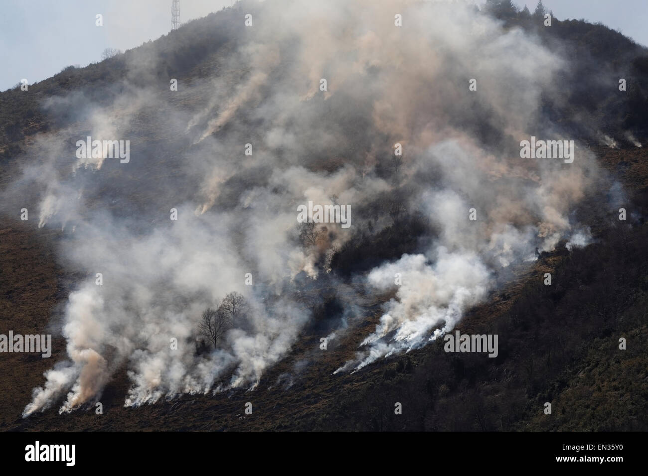 Kontrollierte Buschfeuer in der Nähe von Lourdes, Hautes-Pyrénées, Pyrenäen, Frankreich Stockfoto