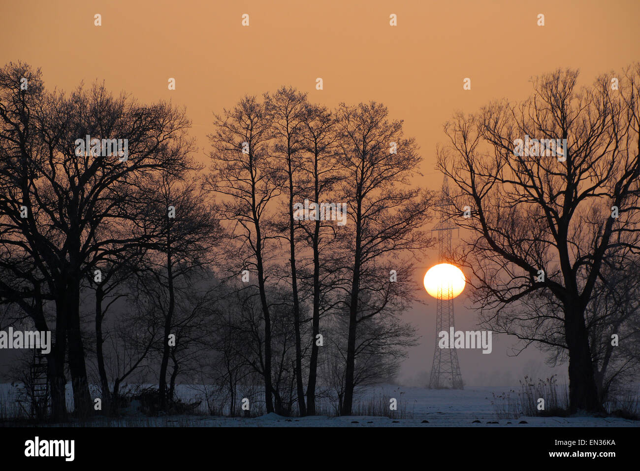 Pylon, Winter, Bäume, Sonnenuntergang, Neufinsing, Bayern, Deutschland Stockfoto