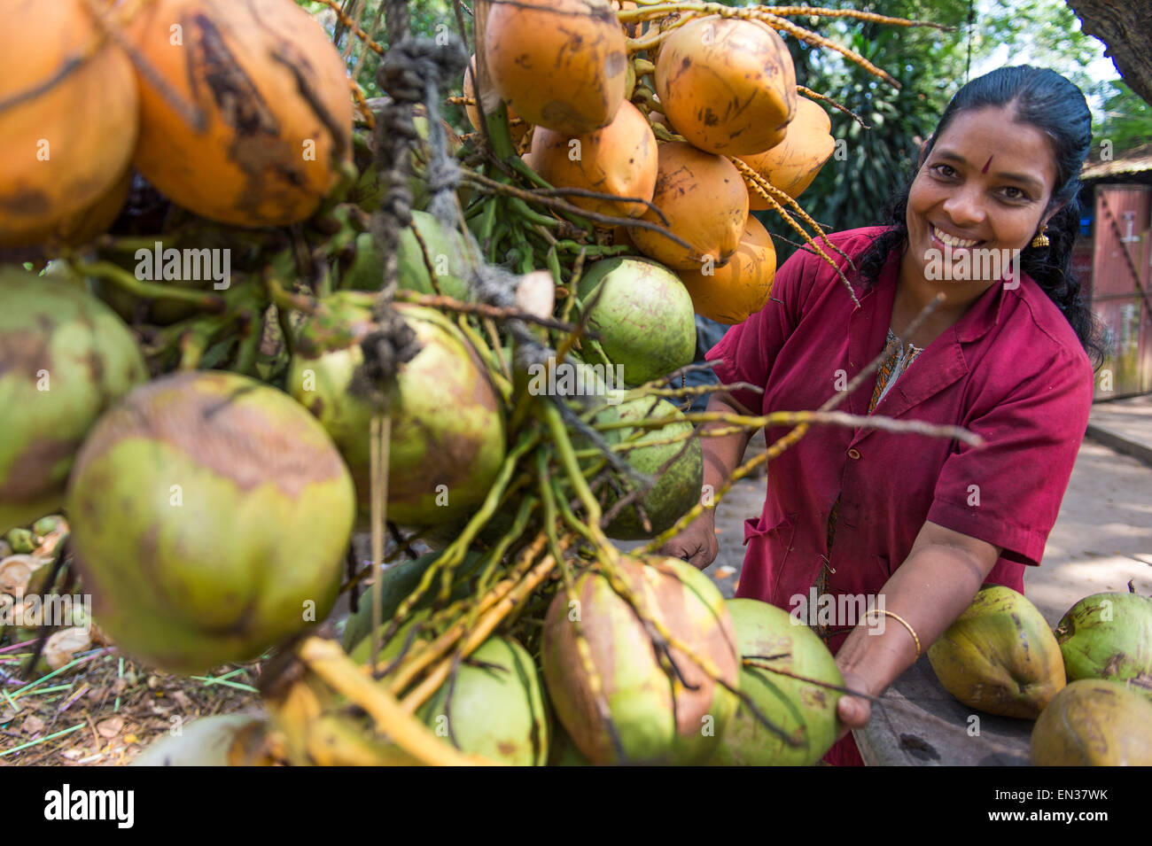 Junge Frau verkaufen Kokosnüsse an der Straße, Kochi, Kerala, Indien Stockfoto
