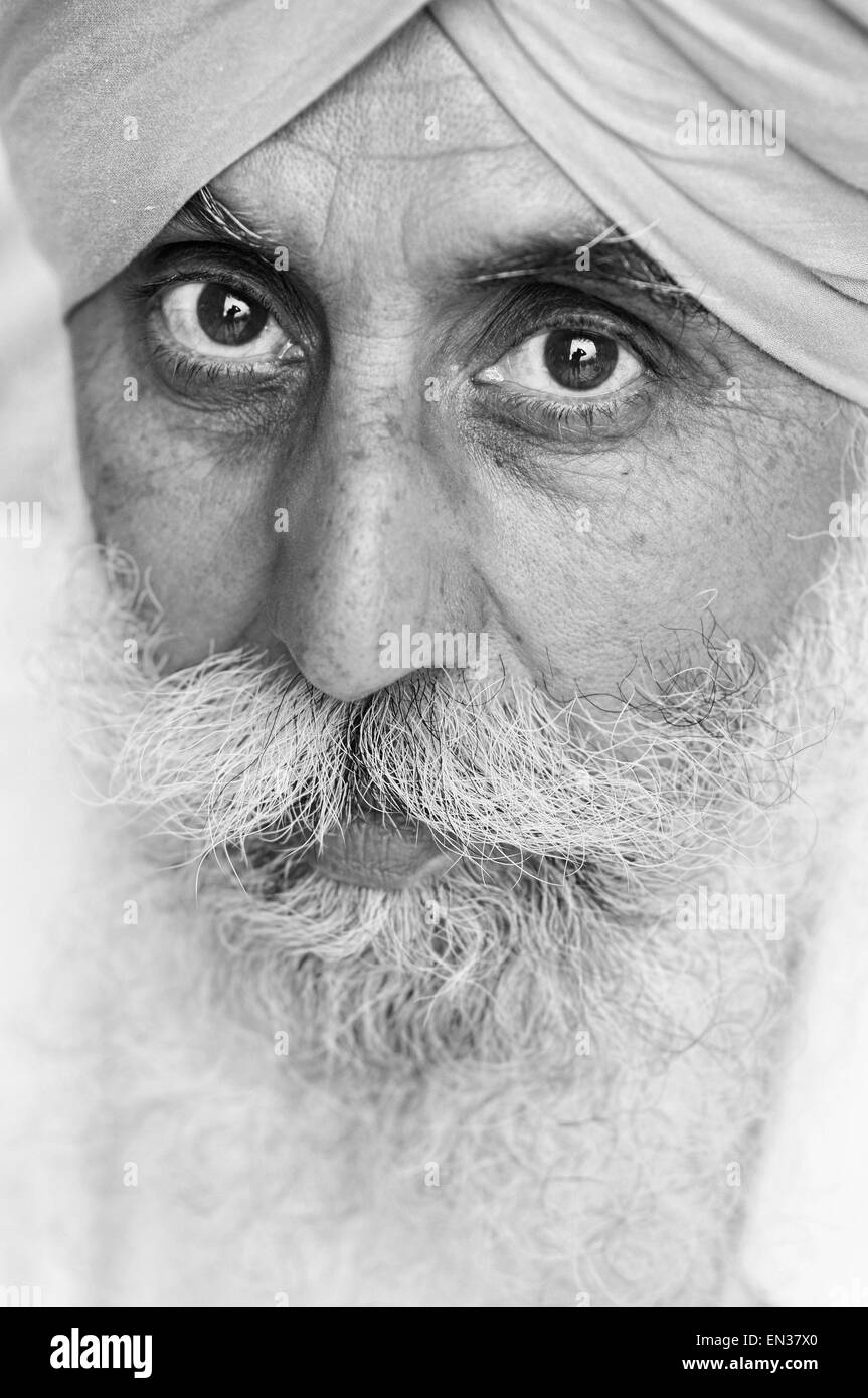 Sikh Mann, Porträt, Amritsar, Punjab, Nord-Indien, Indien Stockfoto