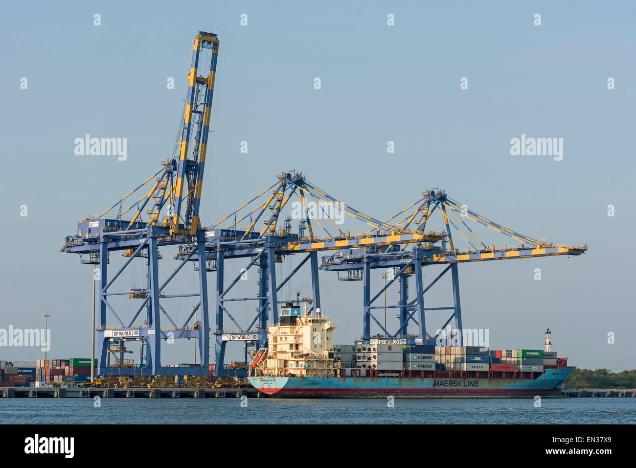 Containerschiff Maersk Line, Kräne, International Container Umschlag Terminal angewandte, Vallapadam Terminal, Kochi, Kerala Stockfoto