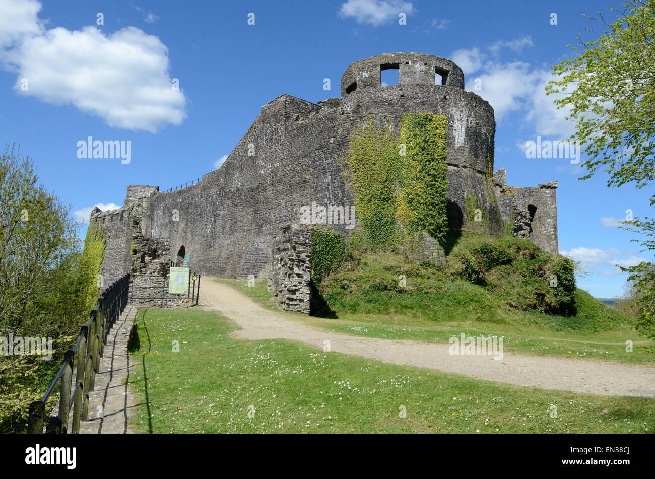 Dinefwr Castle Llandeilo Carmarthenshire Wales Cymru UK GB Stockfoto