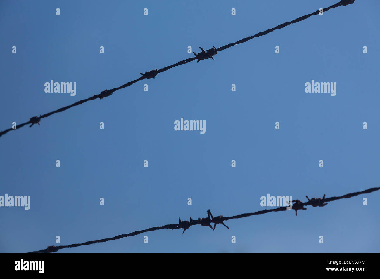 Stacheldraht gegen blauen Himmel, Deutschland Stockfoto Stacheldraht gegen blauen Himmel, Deutschland Stockfoto