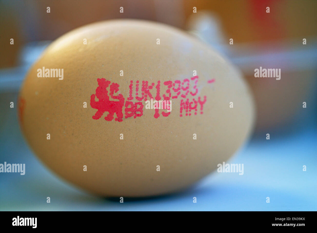 Ei mit dem britischen Löwen-Gütezeichen und die Nummer 1 UK Kennzeichnung bezeichnet, eine Freilandhaltung Ei aus Großbritannien und ein Mindesthaltbarkeitsdatum Stockfoto