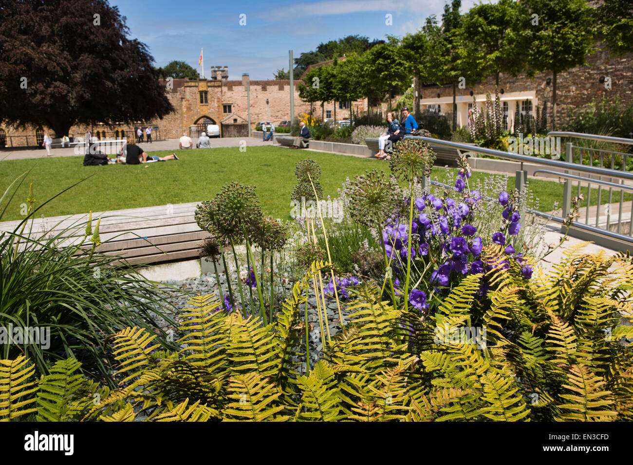 Taunton, Somerset, England, UK Schloss grün Blumen Pflanzen Stockfoto