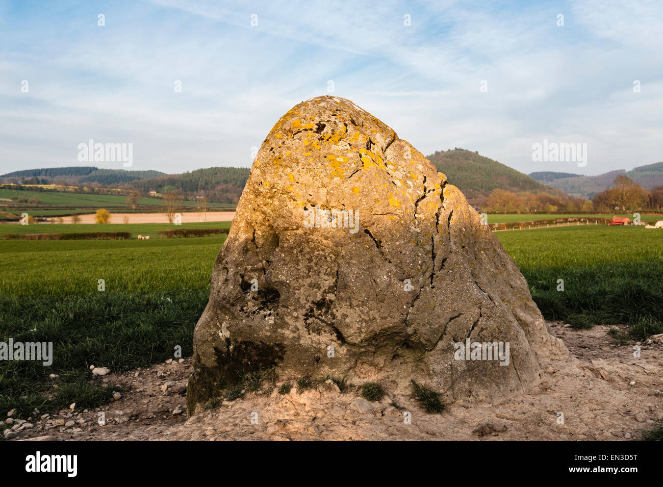 Der Knobley Stone (Hoarstone, Oarstone). Ein bronzezeitlicher Stein, der mit dem Burfa Camp im Hintergrund ausgerichtet ist, der Eisenzeit-Hügel (New Radnor, Powys) Stockfoto