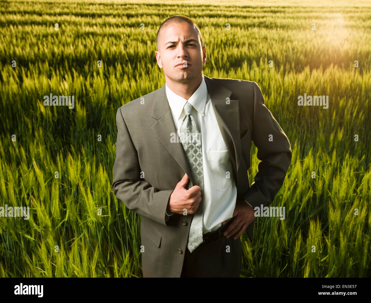 Geschäftsmann in einem Feld Stockfoto